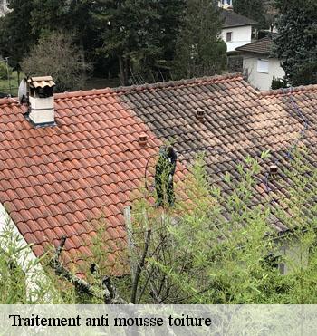 Traitement anti mousse toiture