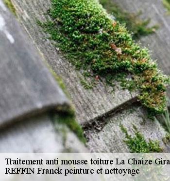 Traitement anti mousse toiture