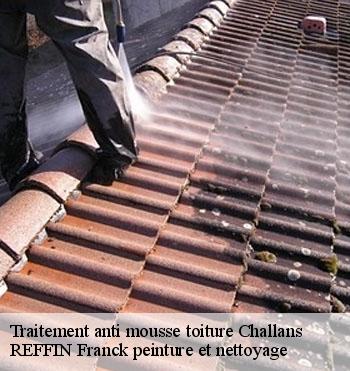 Traitement anti mousse toiture