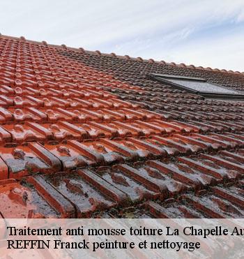 Traitement anti mousse toiture