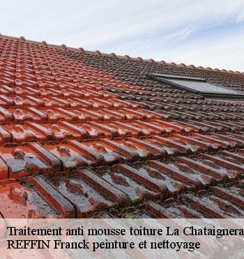 Traitement anti mousse toiture
