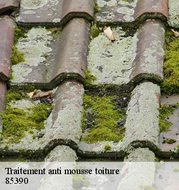 Traitement anti mousse toiture