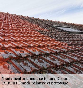 Traitement anti mousse toiture
