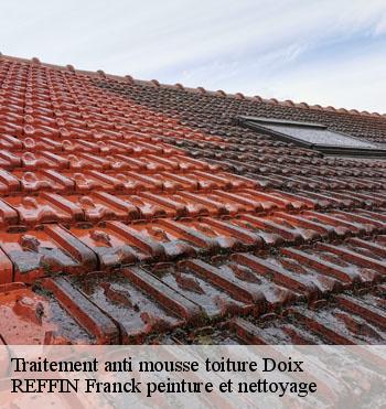 Traitement anti mousse toiture