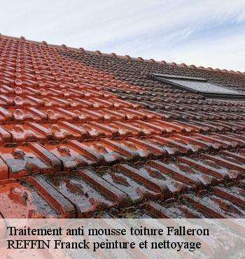 Traitement anti mousse toiture