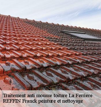 Traitement anti mousse toiture