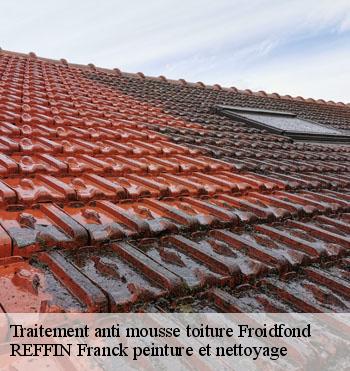 Traitement anti mousse toiture
