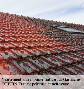 Traitement anti mousse toiture