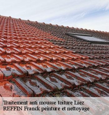 Traitement anti mousse toiture