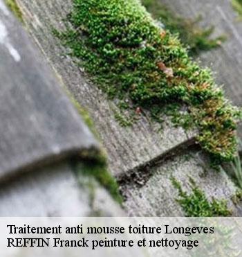 Traitement anti mousse toiture