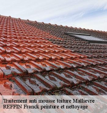 Traitement anti mousse toiture