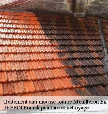 Traitement anti mousse toiture