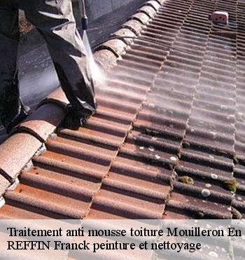 Traitement anti mousse toiture