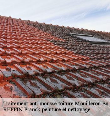 Traitement anti mousse toiture