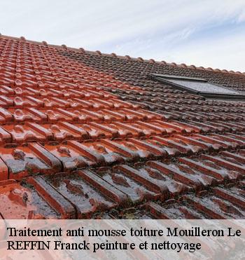 Traitement anti mousse toiture