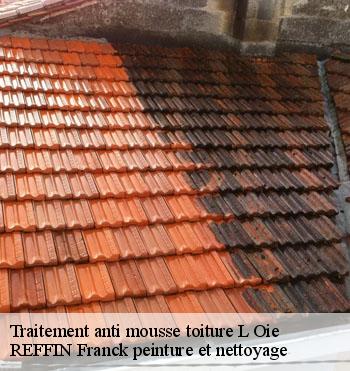 Traitement anti mousse toiture