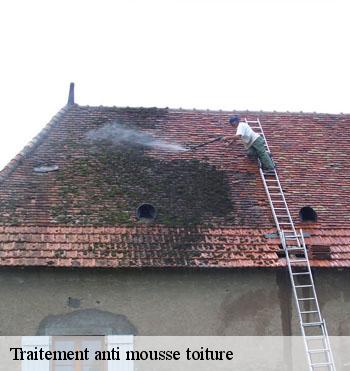 Traitement anti mousse toiture