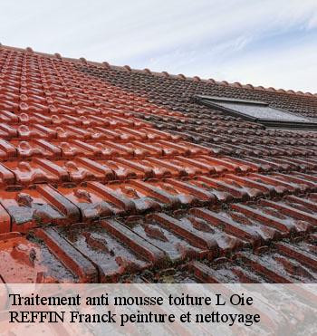 Traitement anti mousse toiture