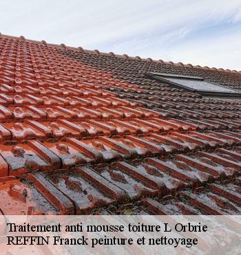 Traitement anti mousse toiture