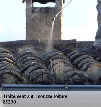 Traitement anti mousse toiture