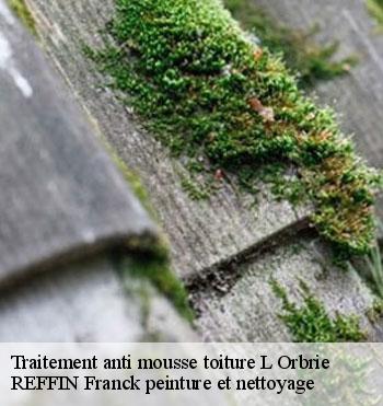 Traitement anti mousse toiture