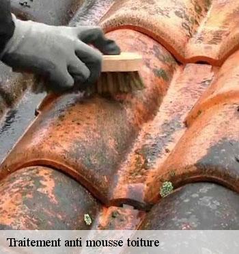 Traitement anti mousse toiture
