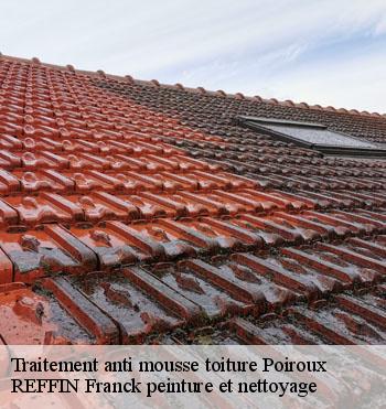 Traitement anti mousse toiture