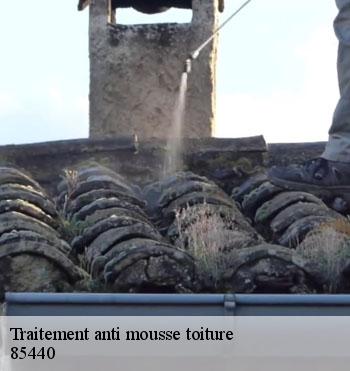 Traitement anti mousse toiture