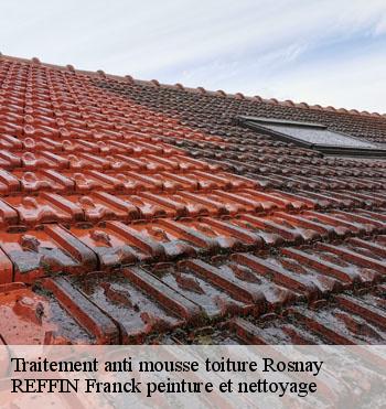 Traitement anti mousse toiture