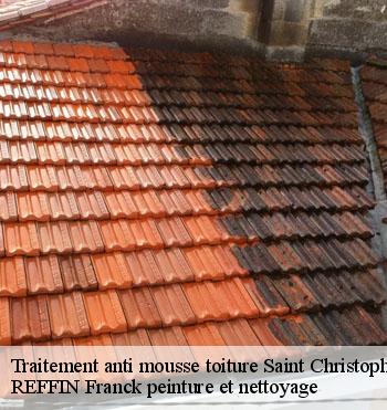 Traitement anti mousse toiture