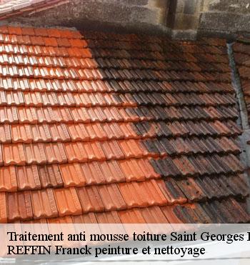 Traitement anti mousse toiture