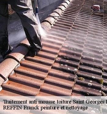 Traitement anti mousse toiture