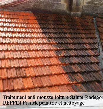 Traitement anti mousse toiture