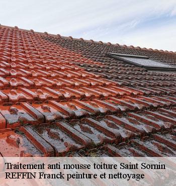 Traitement anti mousse toiture