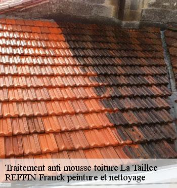 Traitement anti mousse toiture
