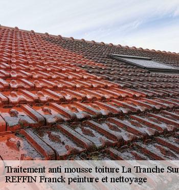 Traitement anti mousse toiture