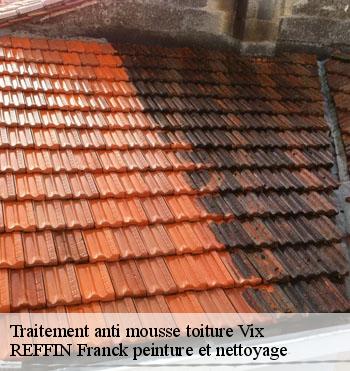Traitement anti mousse toiture