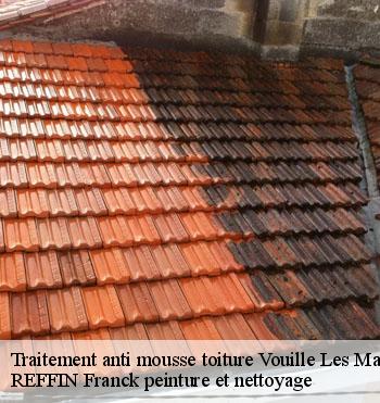 Traitement anti mousse toiture
