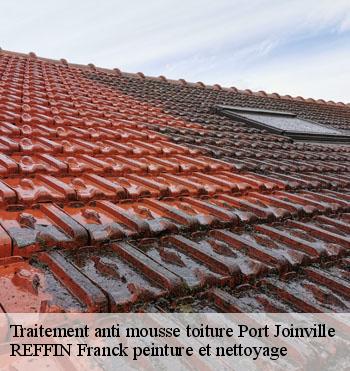 Traitement anti mousse toiture