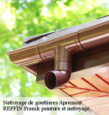 Nettoyage de gouttières