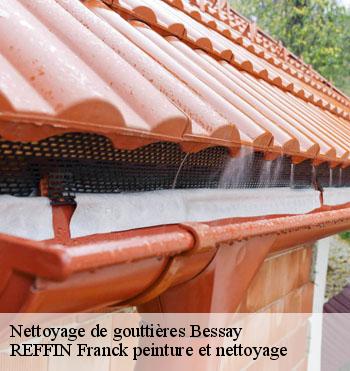 Nettoyage de gouttières
