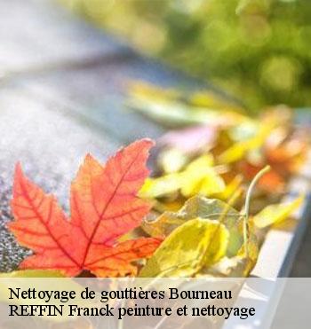 Nettoyage de gouttières