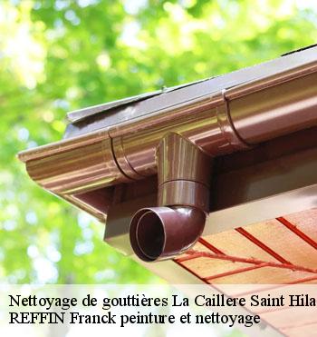 Nettoyage de gouttières