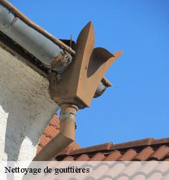 Nettoyage de gouttières