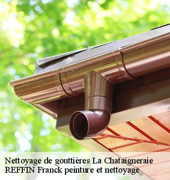 Nettoyage de gouttières