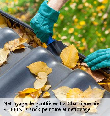 Nettoyage de gouttières