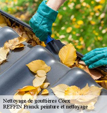 Nettoyage de gouttières