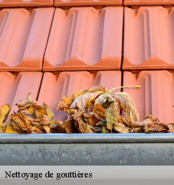 Nettoyage de gouttières