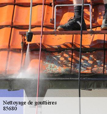 Nettoyage de gouttières
