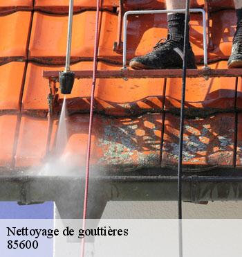 Nettoyage de gouttières